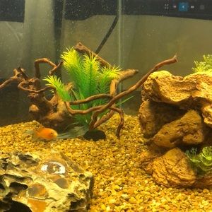 Meet your Posher, Casey